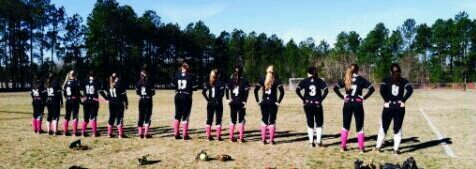 Varsity Softball  banner