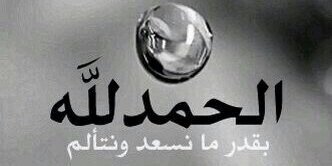 D11335_D's profile banner image