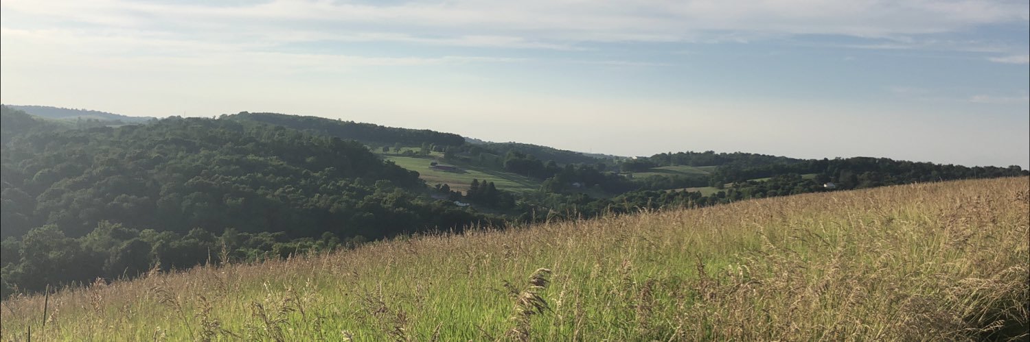 DiserioTim's profile banner image