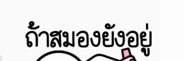 พะยูน ไม่ได้ฆ่า banner