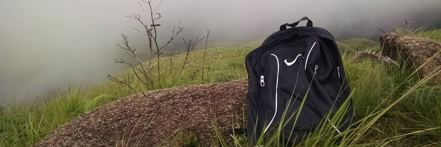 seveliz's profile banner image