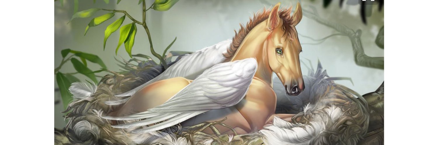 dewolff92's profile banner image