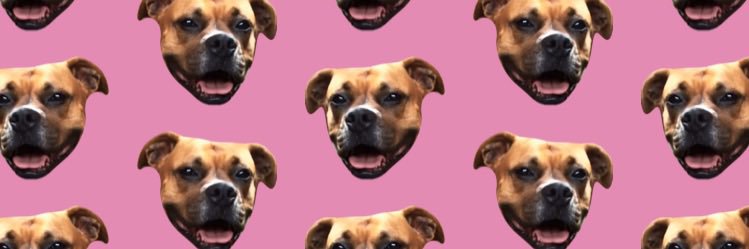 britt_mcculloch's profile banner image