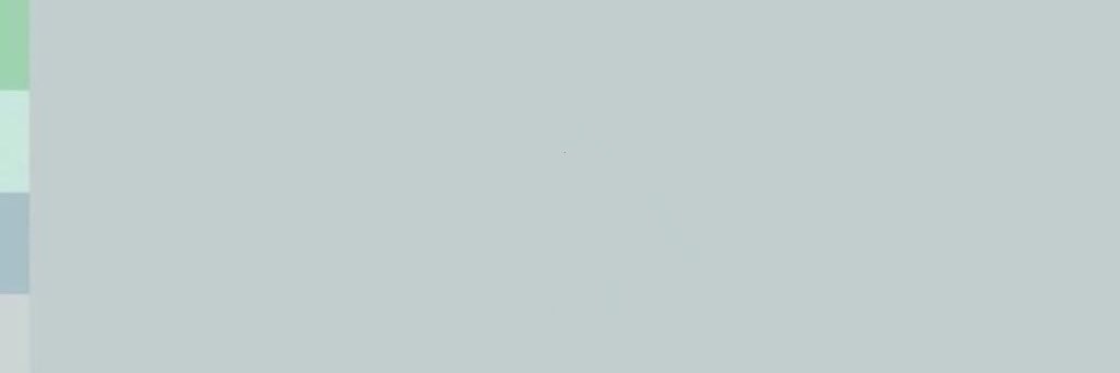 anna bananna banner