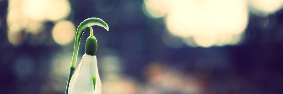 raneemo0o_94's profile banner image