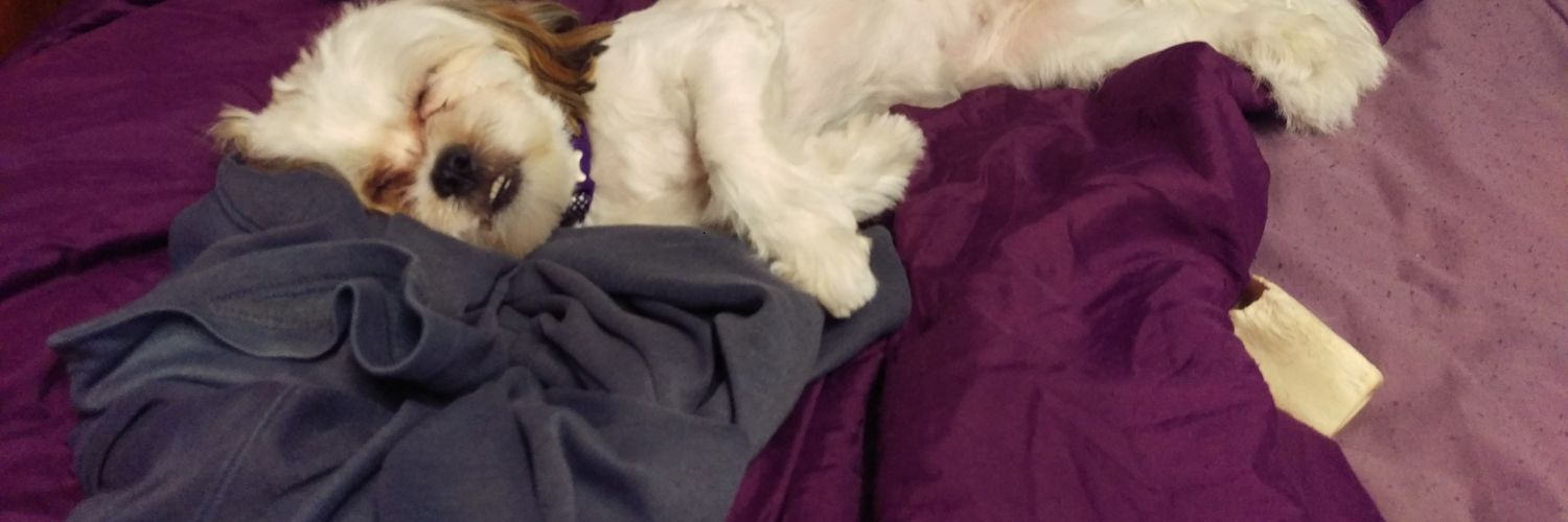 melfice48's profile banner image