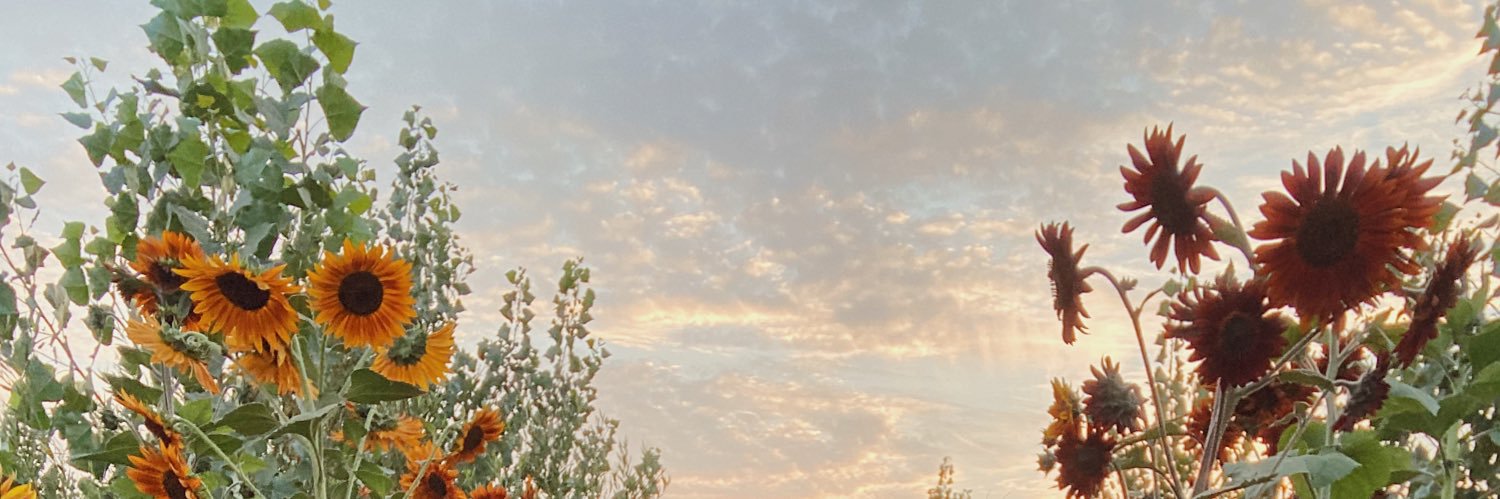 jasmineaprilll's profile banner image