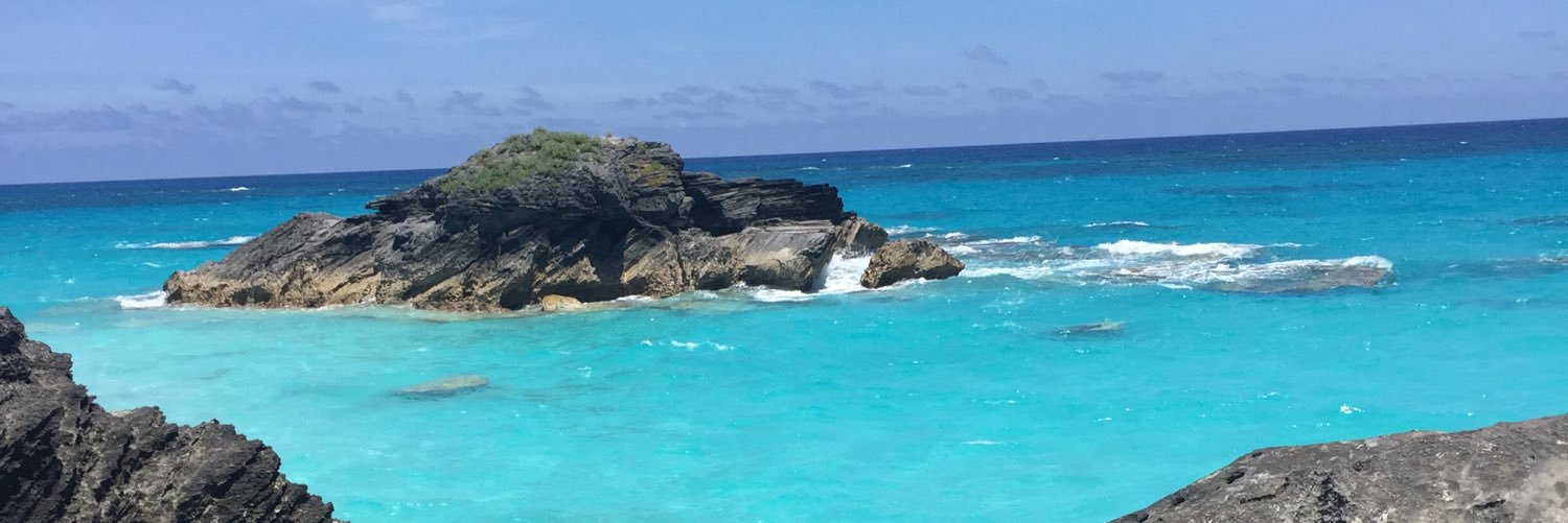 jamiee_raee's profile banner image