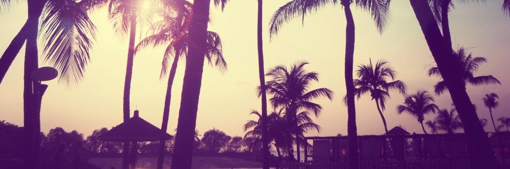 Drizell_ella's profile banner image