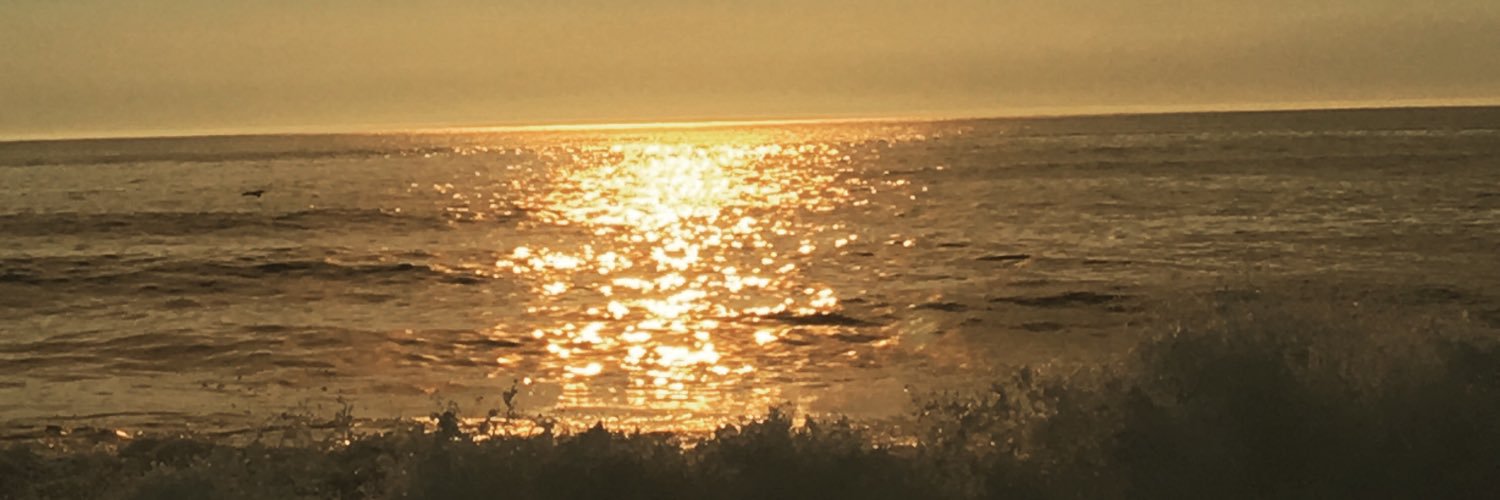 ChrisStebenet's profile banner image