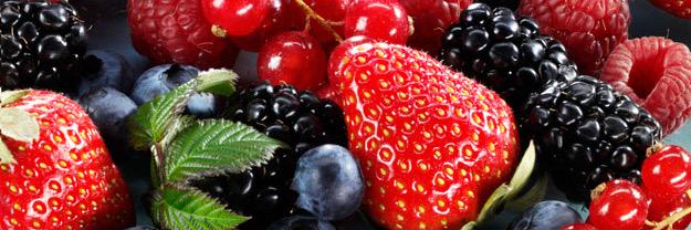 Food and Traditions banner