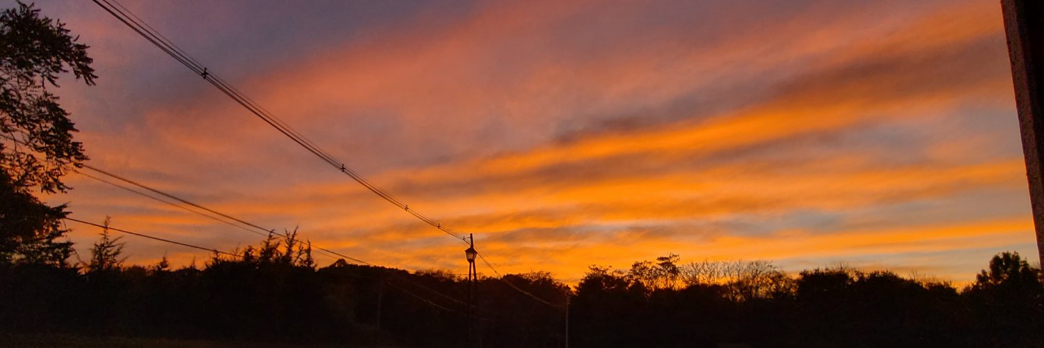 PlatinumToasty's profile banner image