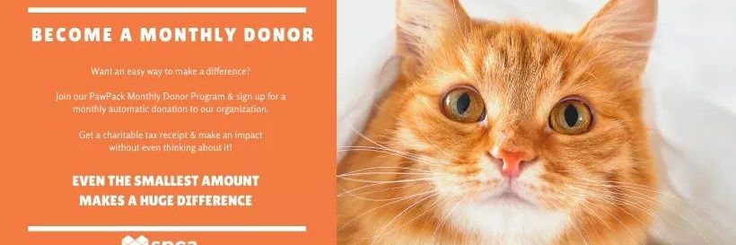 SPCA St.John's banner
