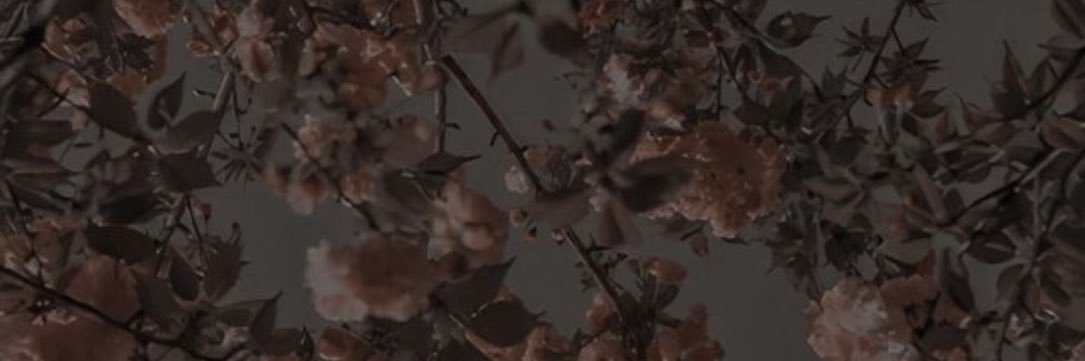 simemilyy's profile banner image