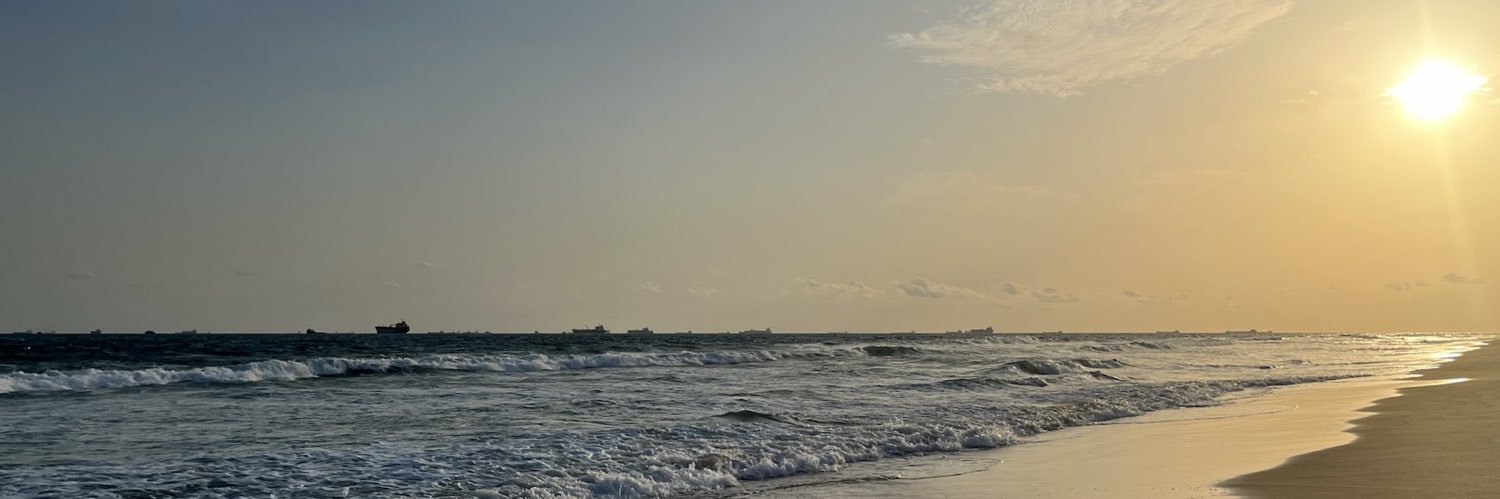 de soleil banner
