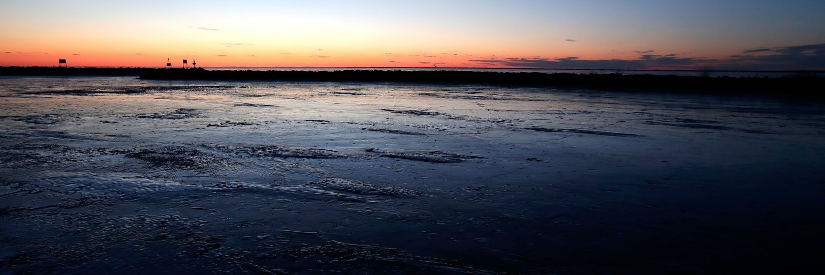 Danny Damiani banner