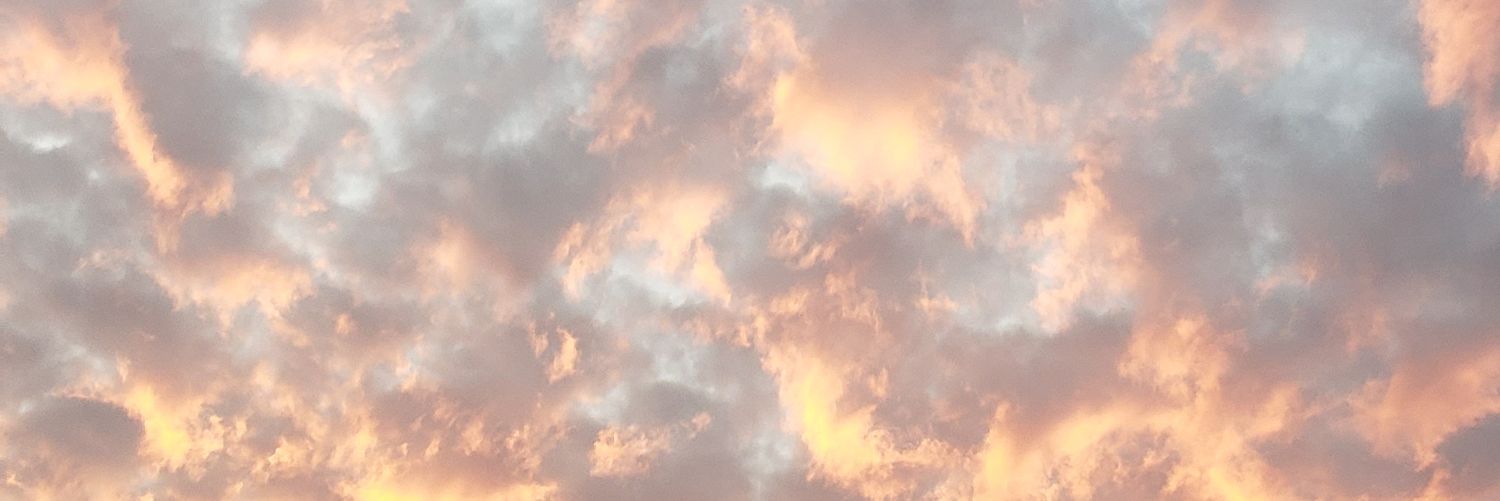 VickyRuva's profile banner image