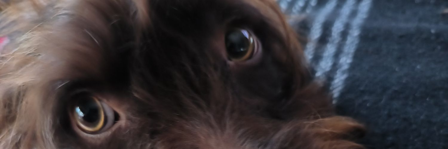 cesar_perez7's profile banner image