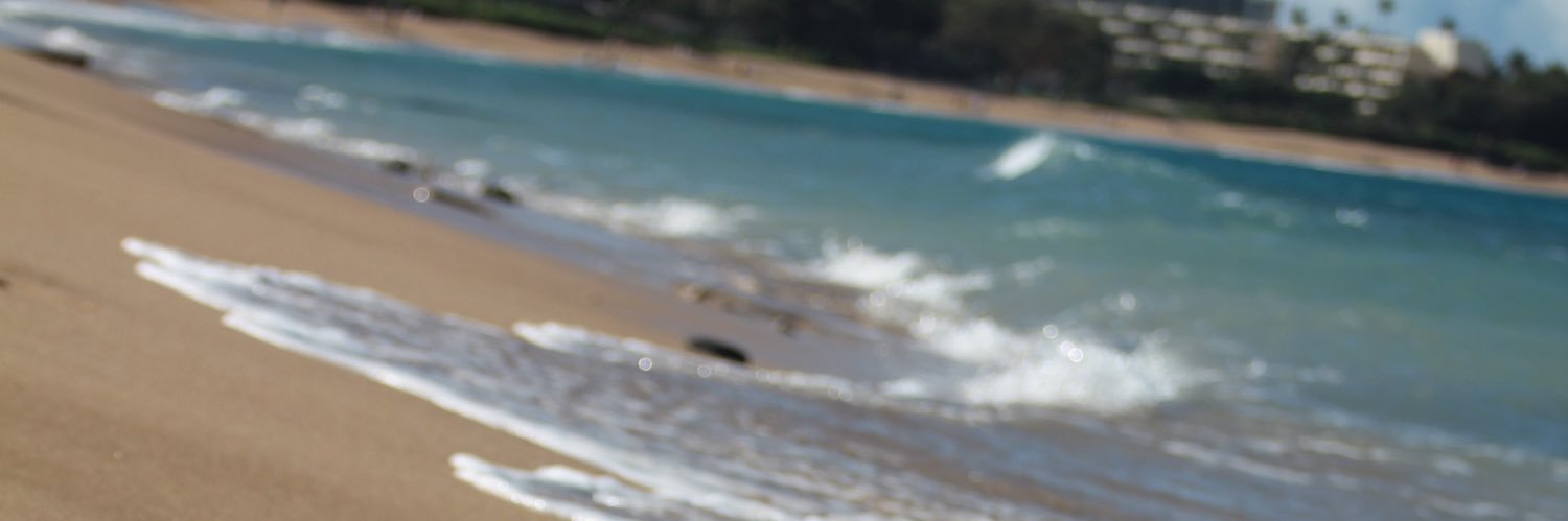 nikifremarek's profile banner image