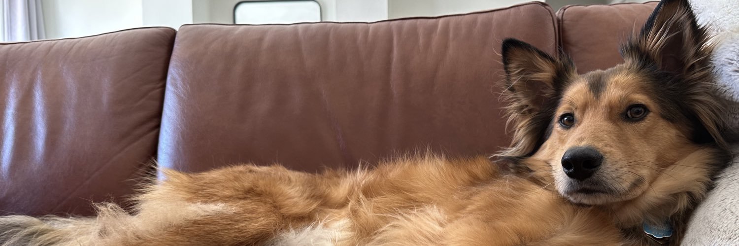 Teddy Z banner