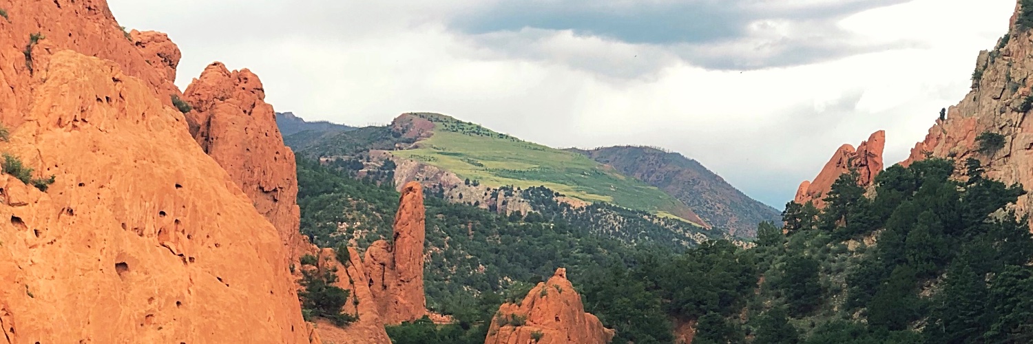 ✨Jennaill✨ banner