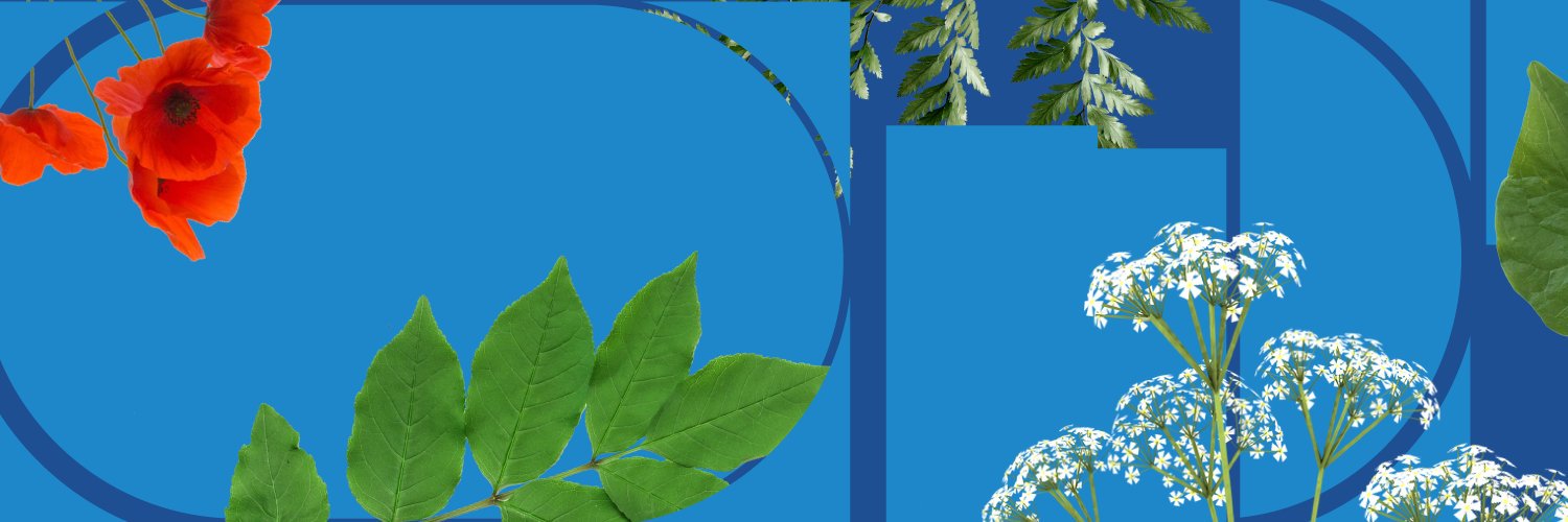 grosvenorsquare's profile banner image