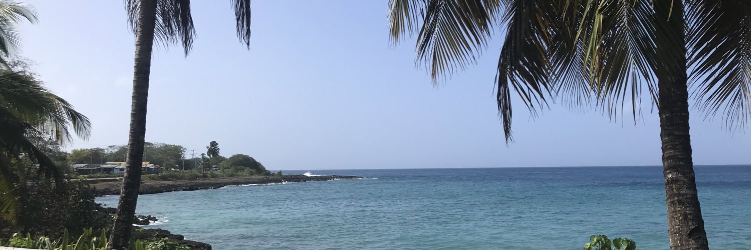 shandy_4's profile banner image