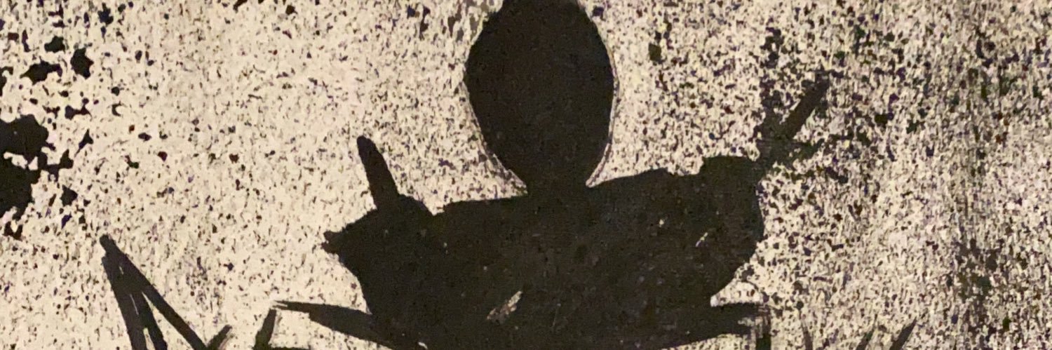 Nevataru's profile banner image