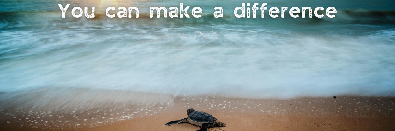 Blue Frontier Campaign banner