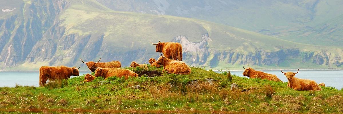 JamesMcFaddin's profile banner image