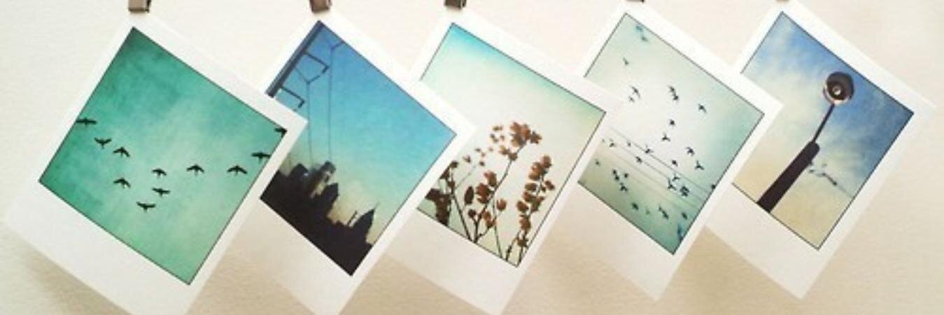 elenapico's profile banner image