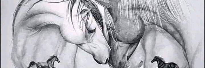 raquel5988's profile banner image