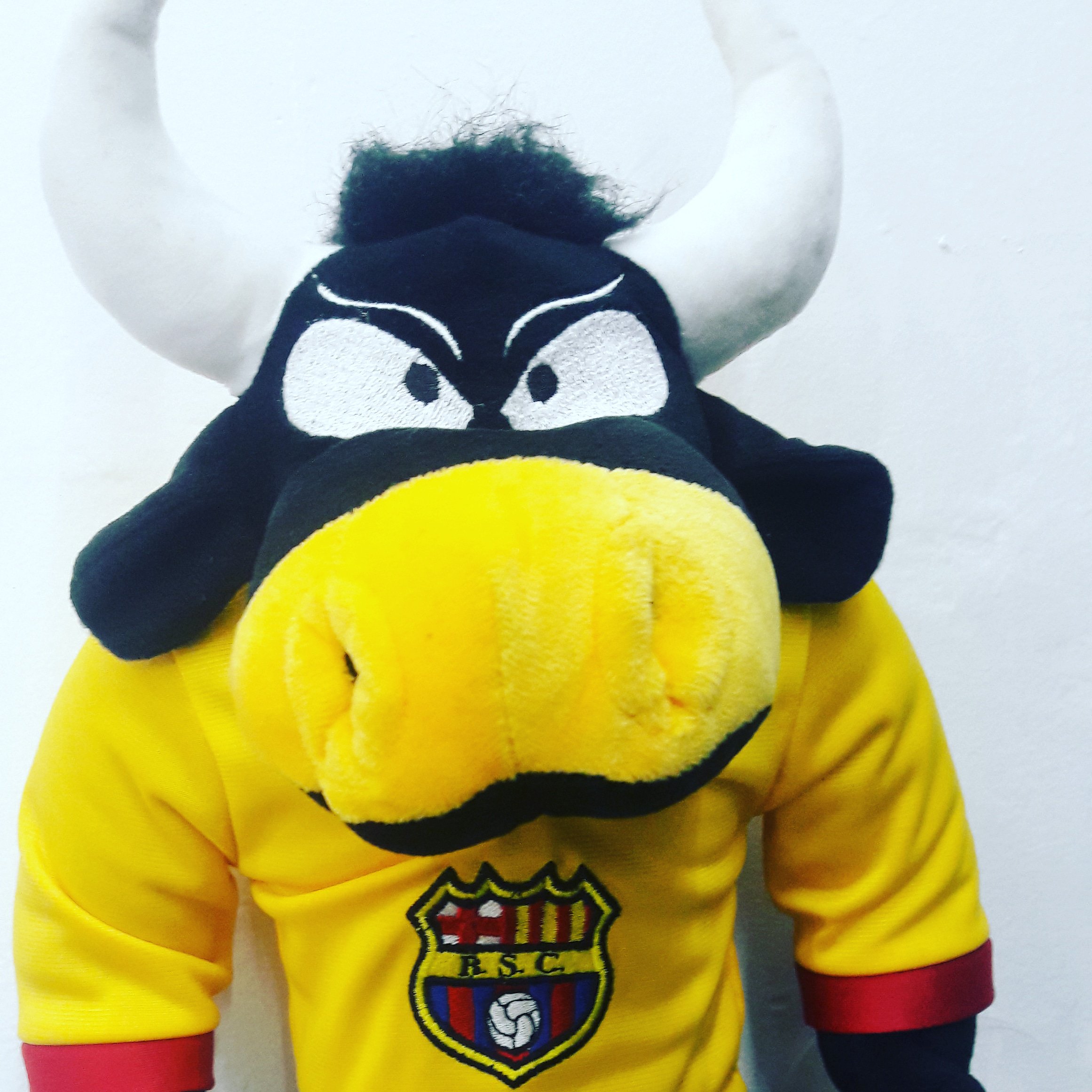 pepitorocker's profile banner image