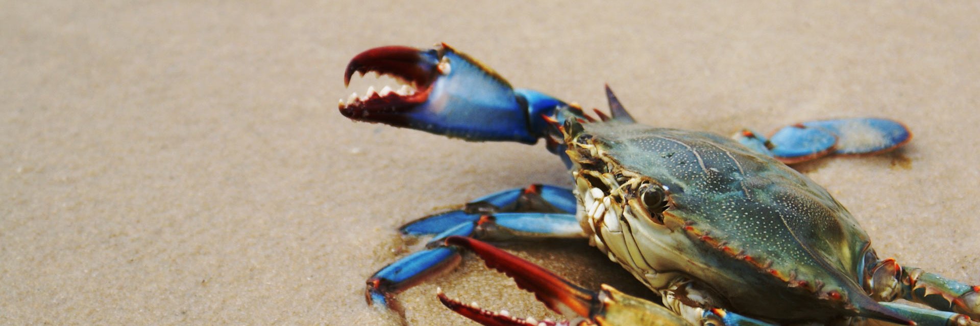 NWFMidAtlantic's profile banner image