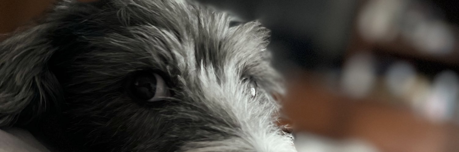 AltairDV's profile banner image