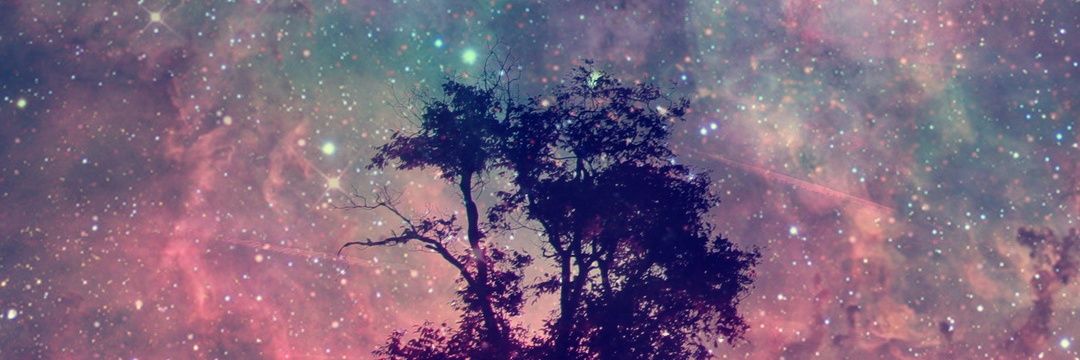 Ali541x's profile banner image