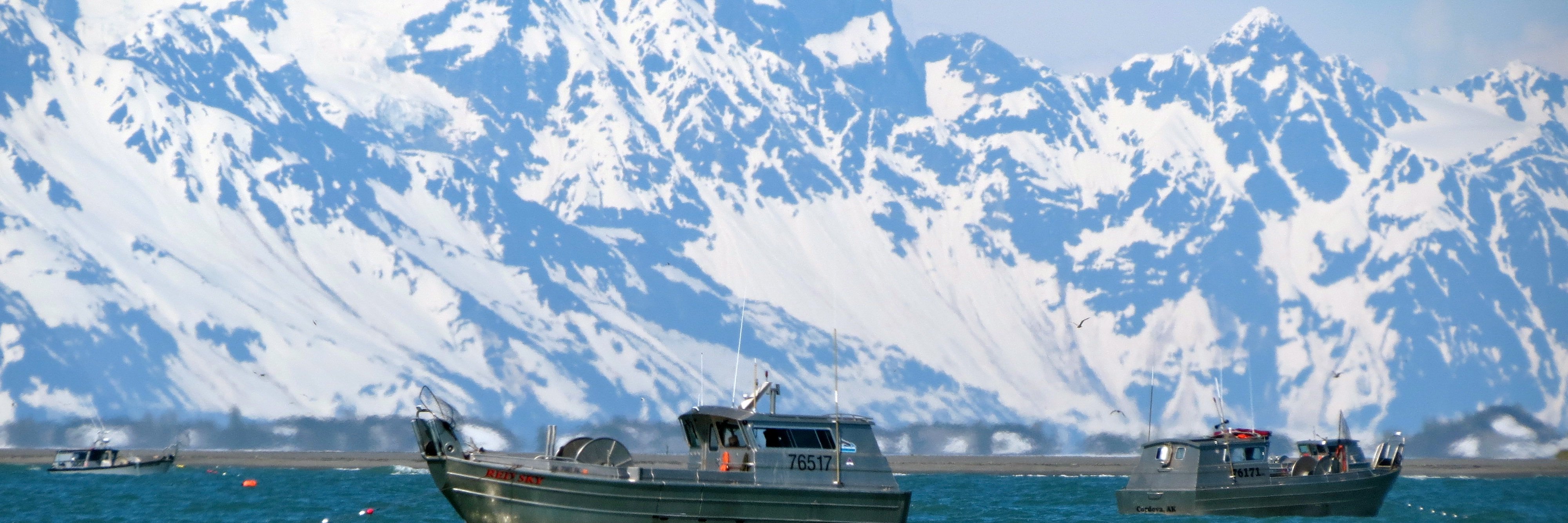 Jennifer Pickett, PhD banner