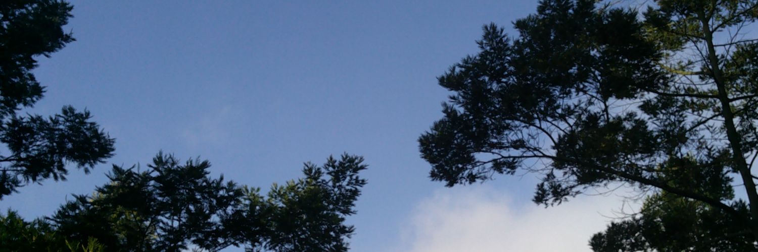 prplxct's profile banner image