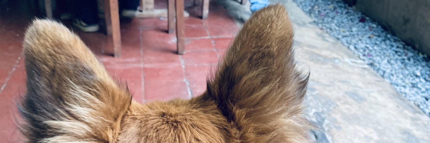 VRBaroni's profile banner image
