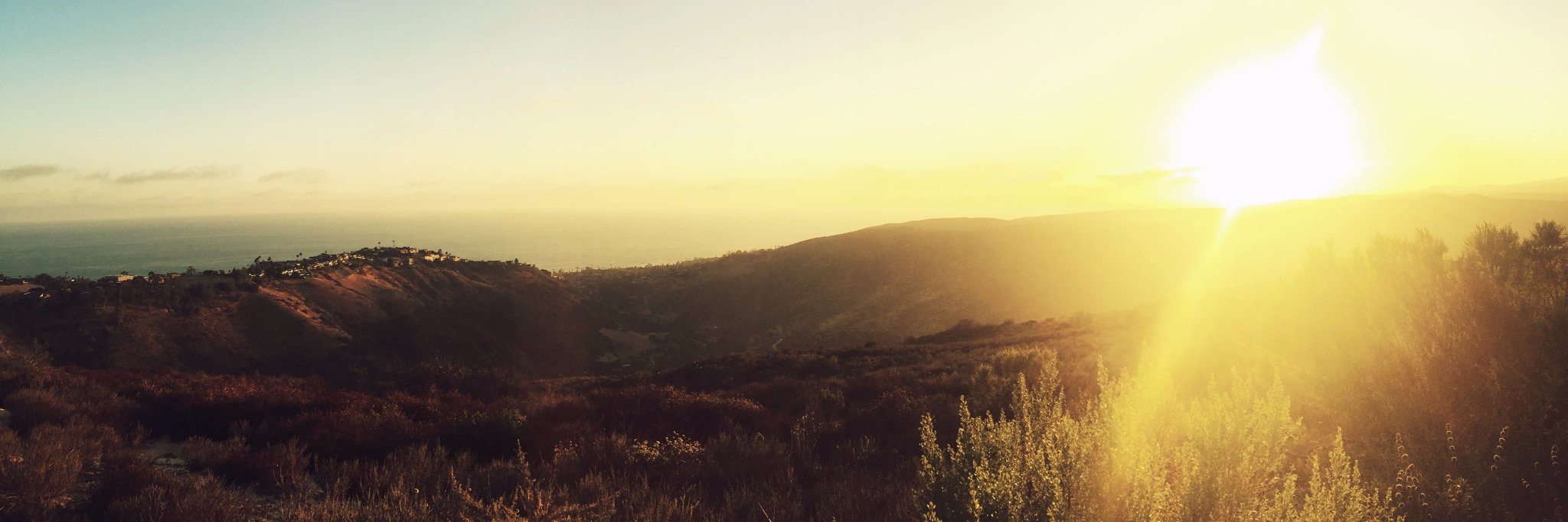 County of Orange banner