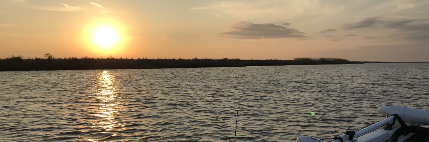 tommie_d1's profile banner image