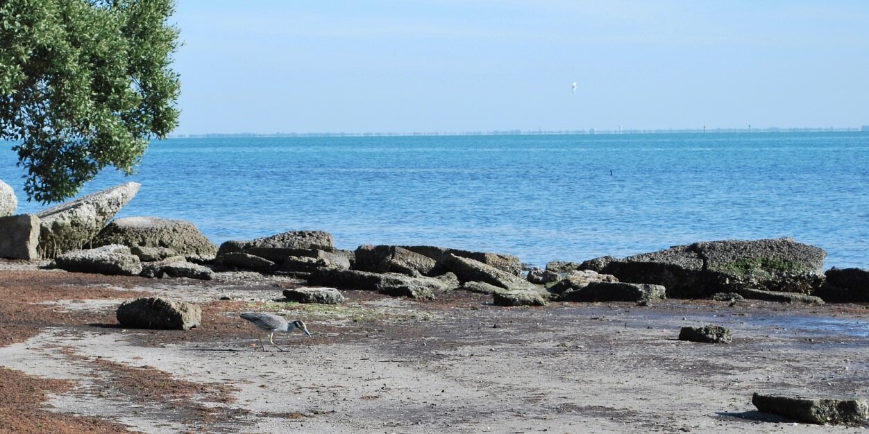 JDSeafood's profile banner image