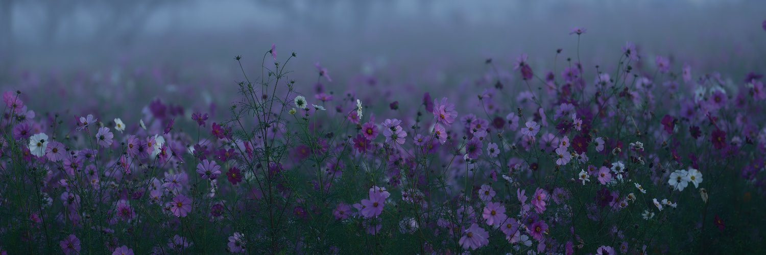 Ribbit0asis's profile banner image