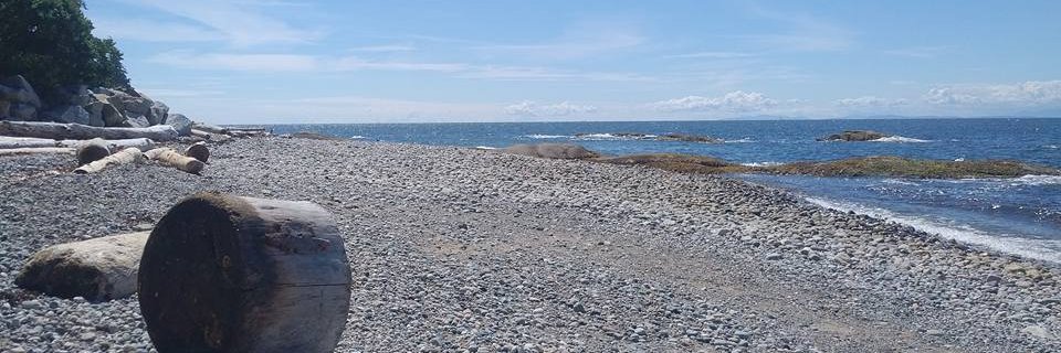 Darran Fernandez, EdD (he/him) banner