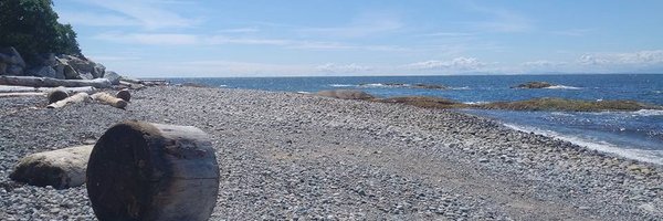 darranfernandez Profile Banner