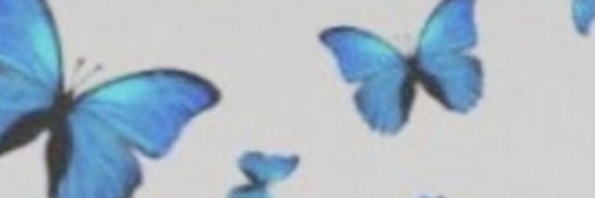 meg_will216's profile banner image