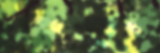 xMeteoria's profile banner image