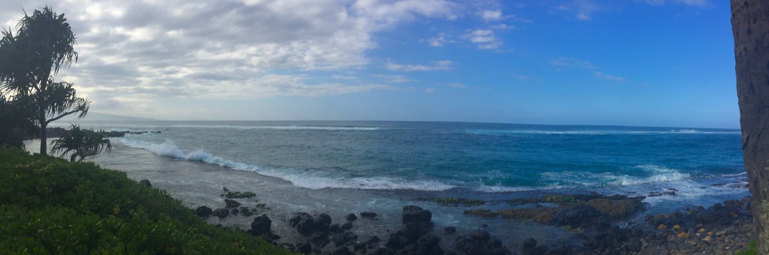 Brian-ish 🏳️‍🌈🇺🇸 banner