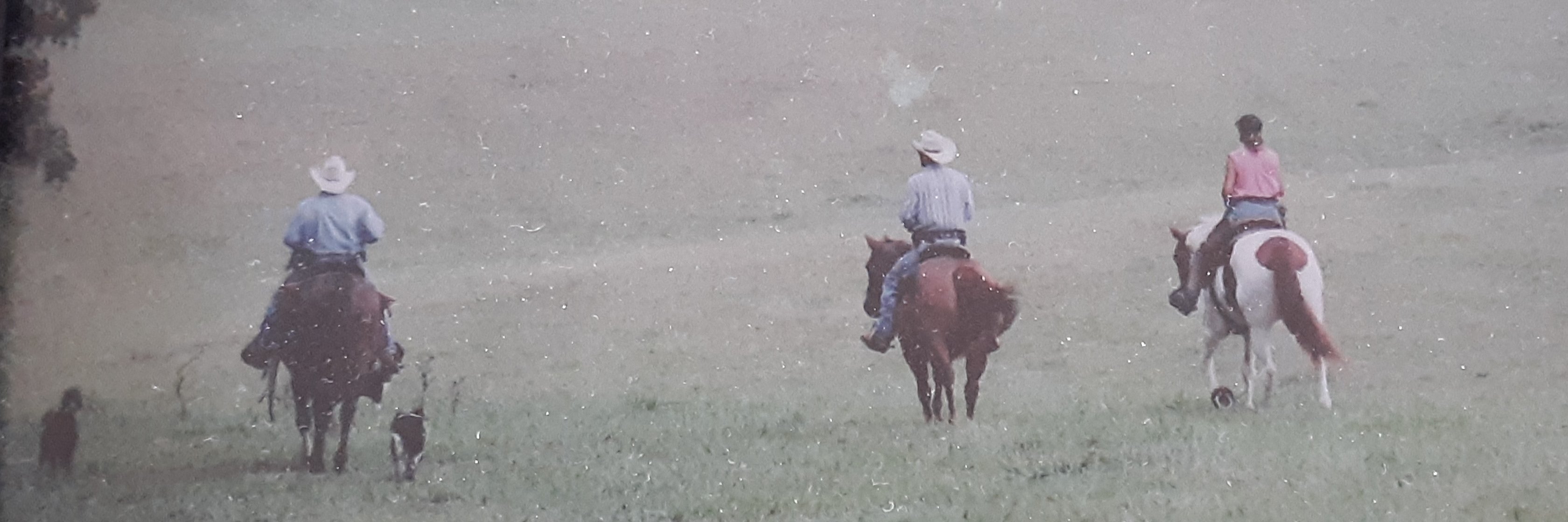 bullmaker1's profile banner image