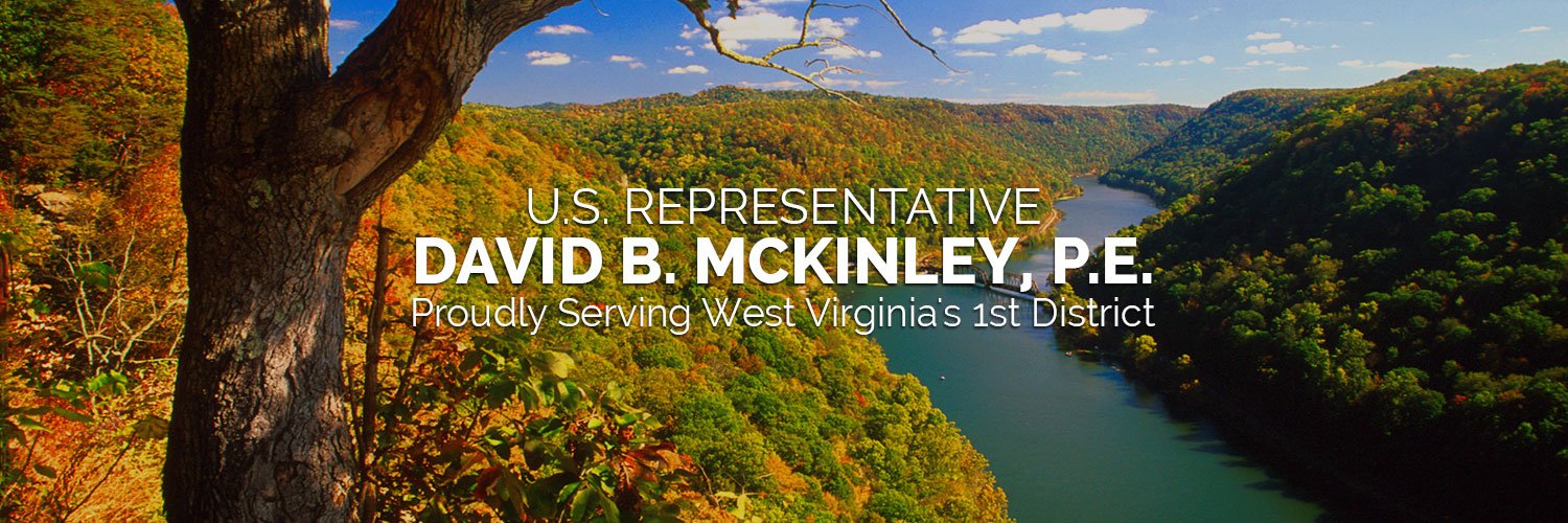 David B. McKinley banner